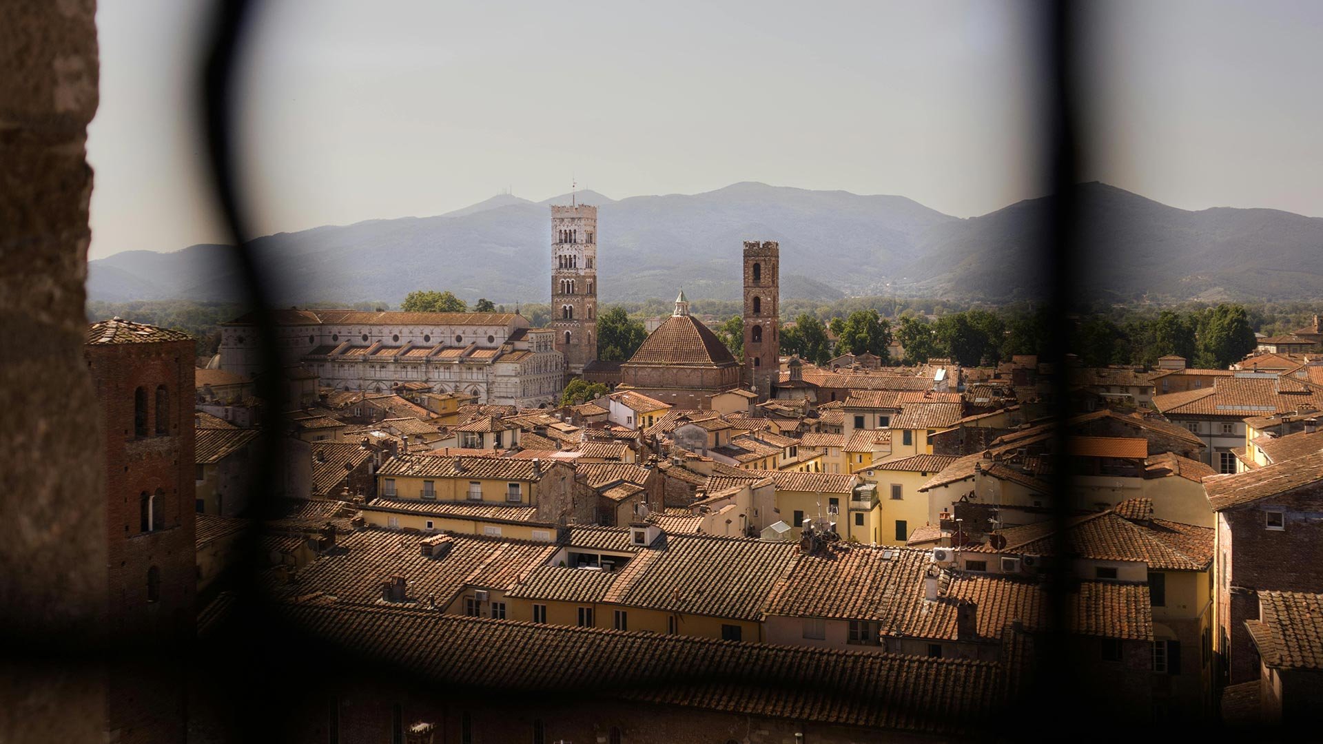 Lucca: Initiatives and Events1