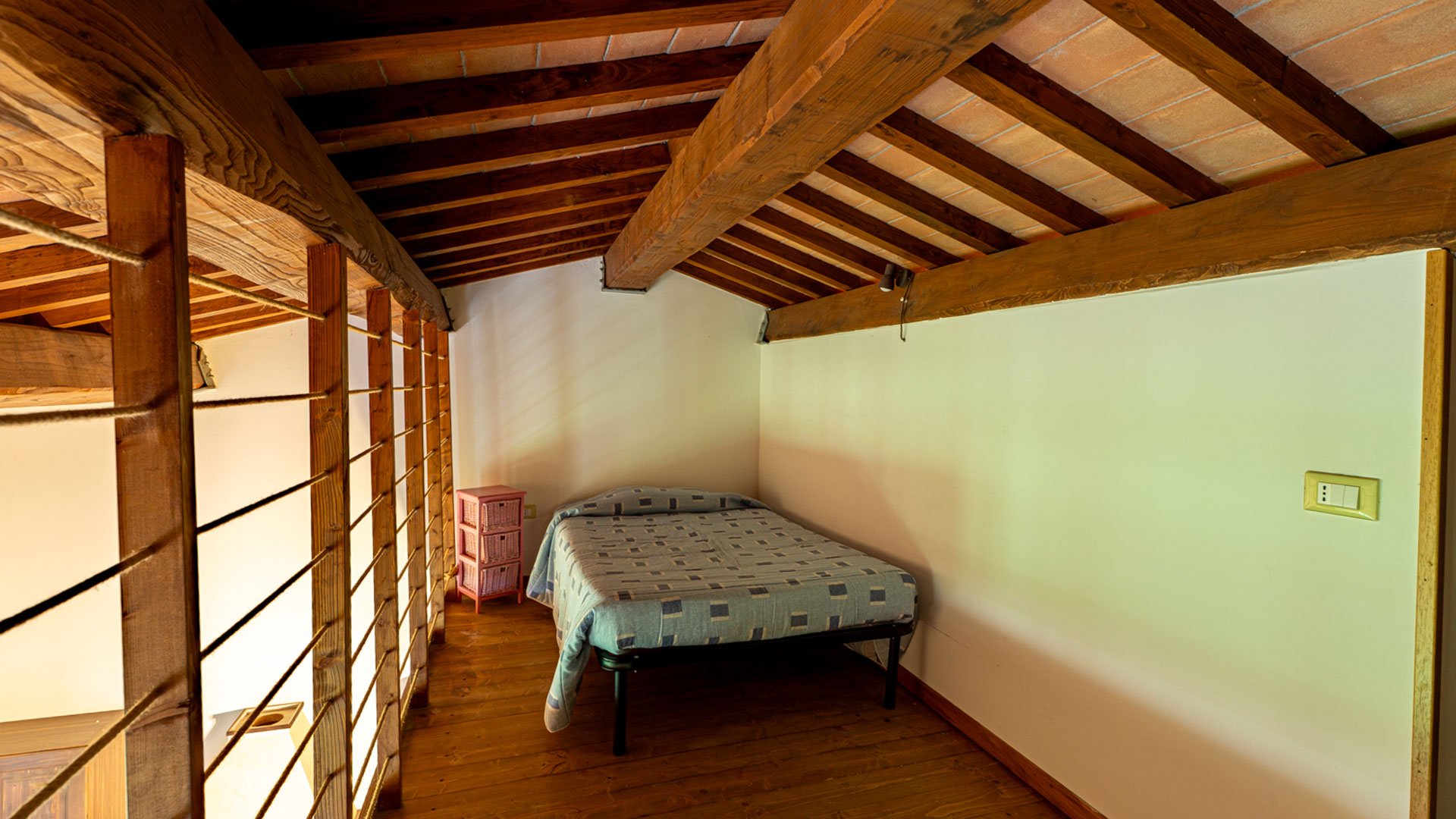 Frassino4