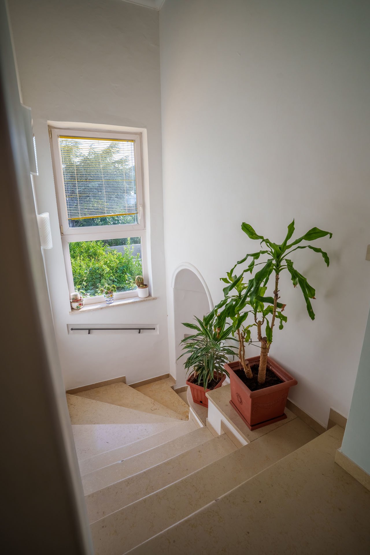 Gallery 239