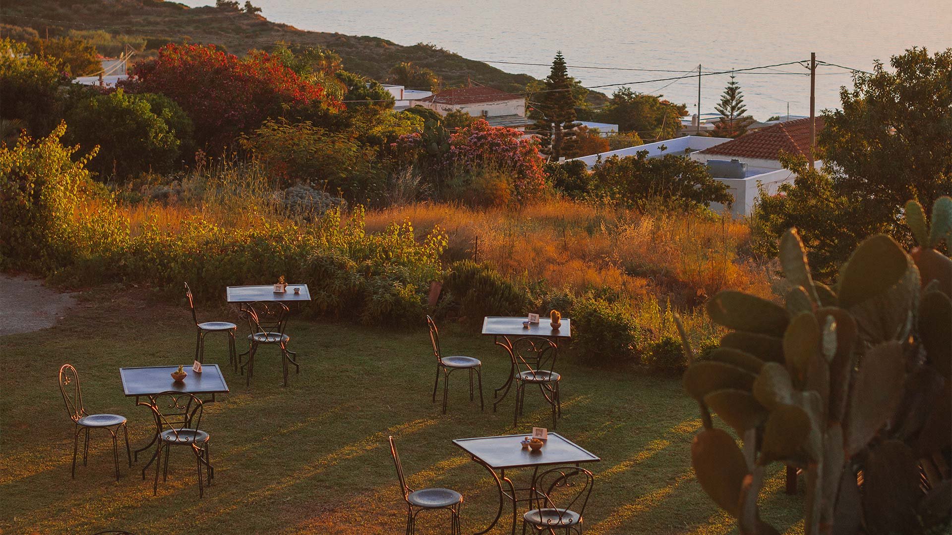 Restaurant 6