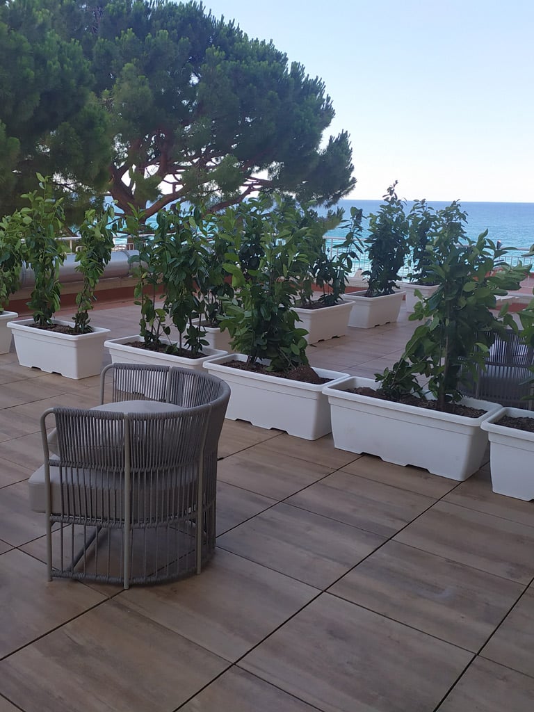 Sundeck Prestige7 Sundeck Prestige7