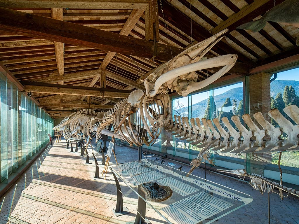 Attractions for children and teenagers4