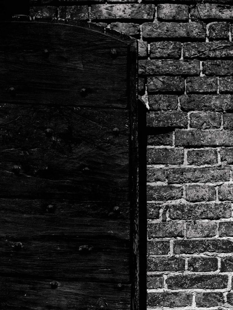 Gallery 48