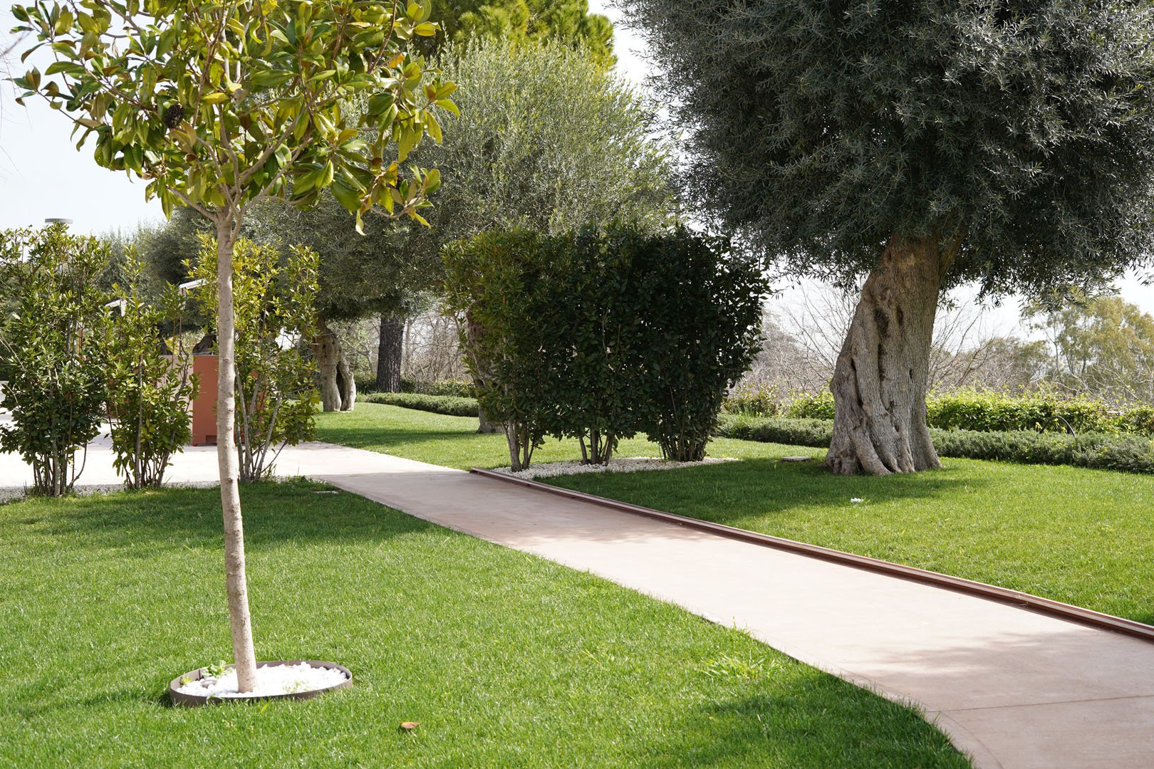 Tenuta San Marco4