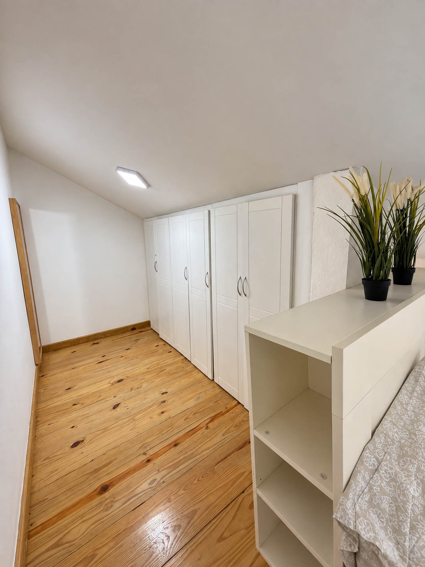 Gallery 230