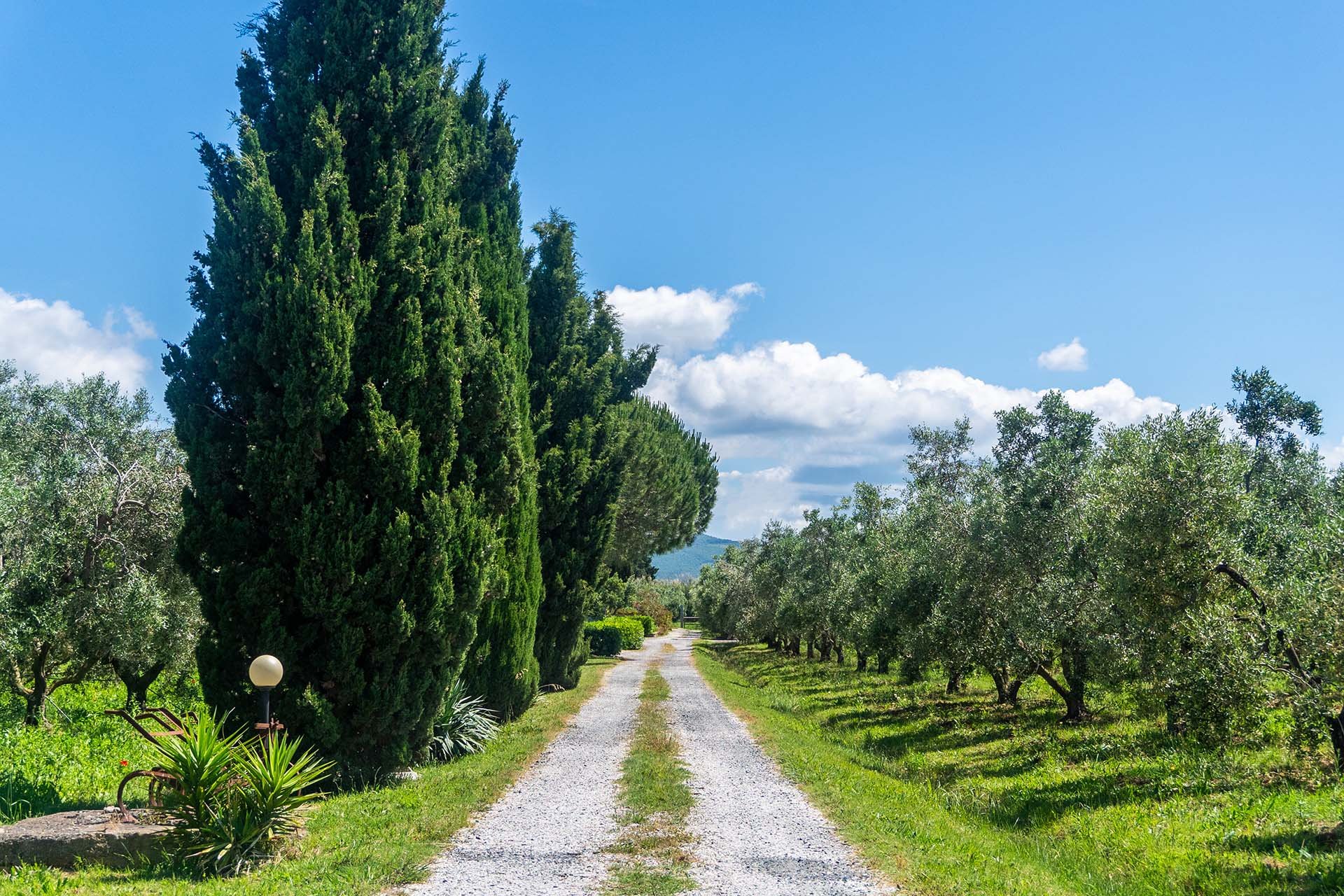 Agriturismo Tripesce4