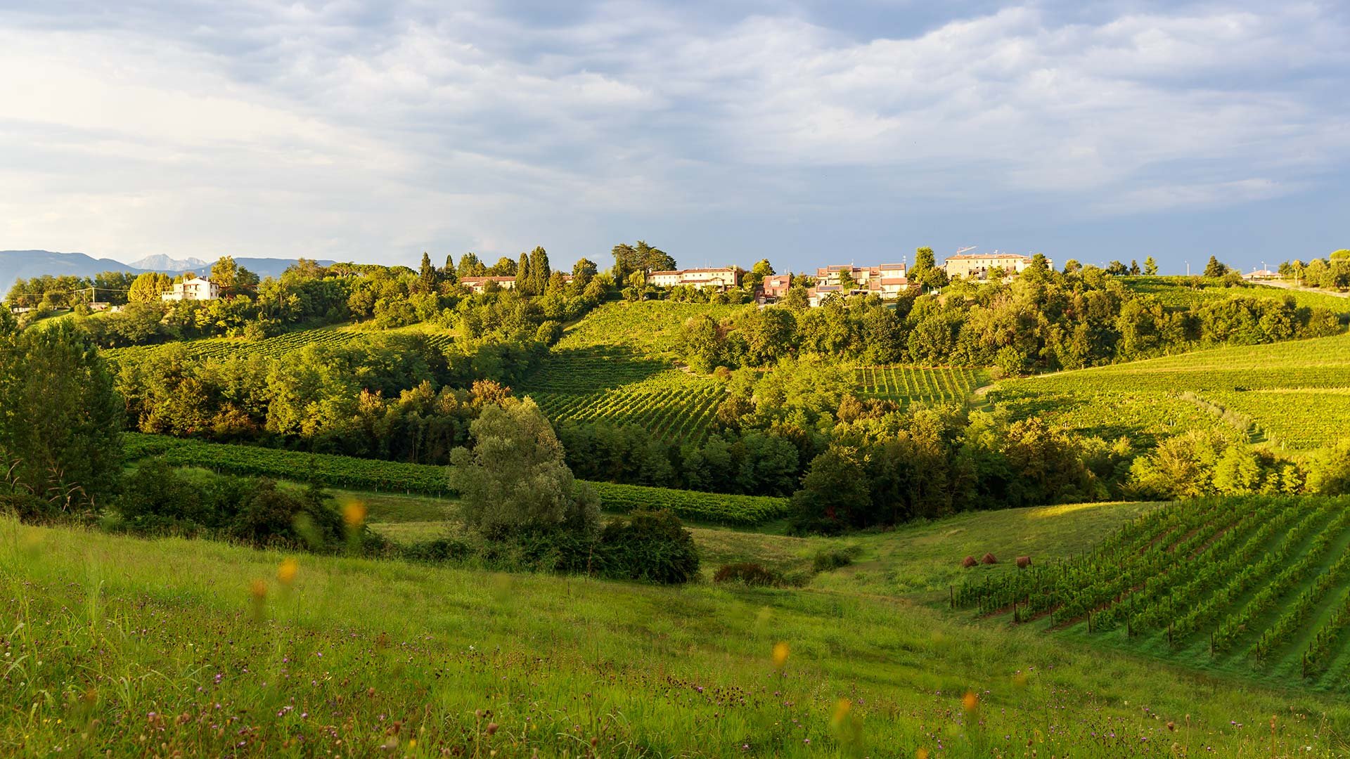 Villa Abbazia 6