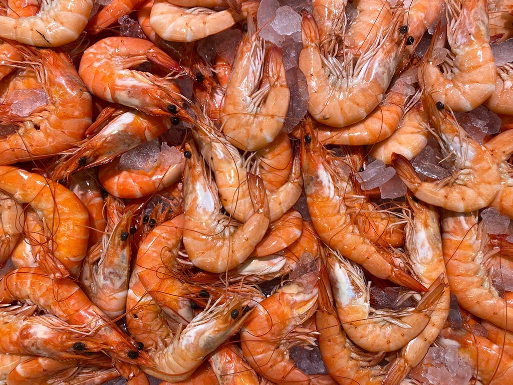 Vins Et Gastronomie 8