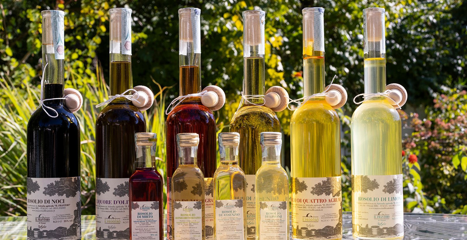Masseria per degustazione olio vicino Ostuni5
