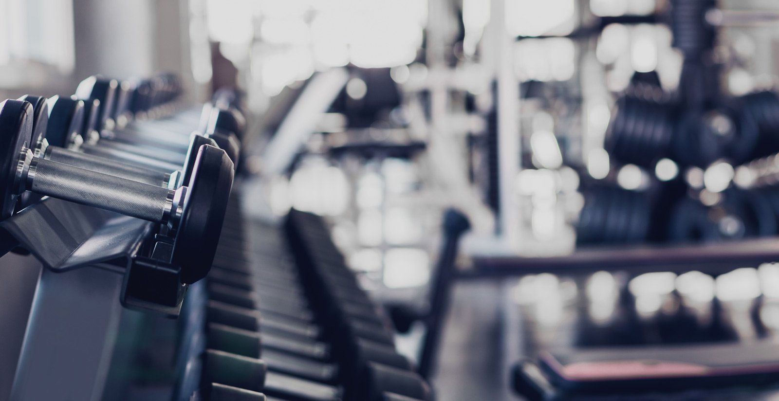 GYM7 GYM7