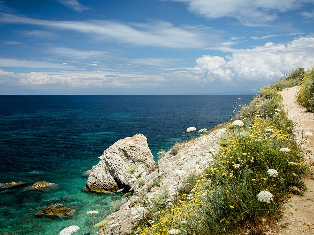 Tours & Excursions9
