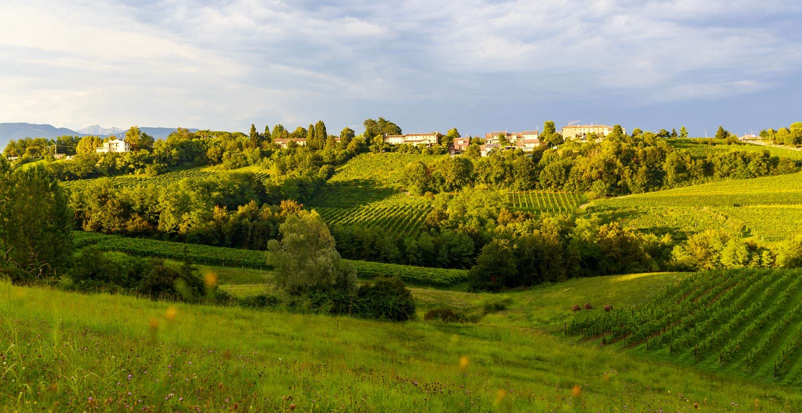 Tenuta Castagnera - Surroundings5