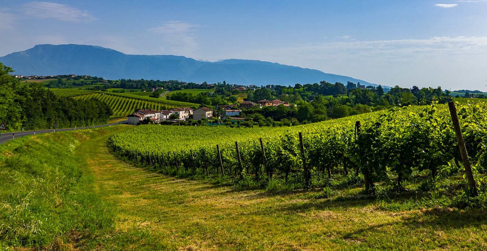 Tenuta Castagnera - Where we are5
