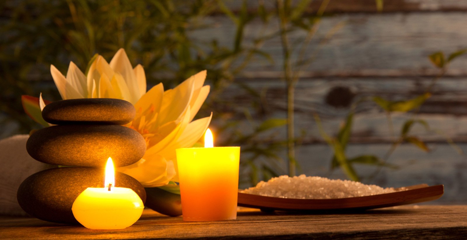 Wellness4