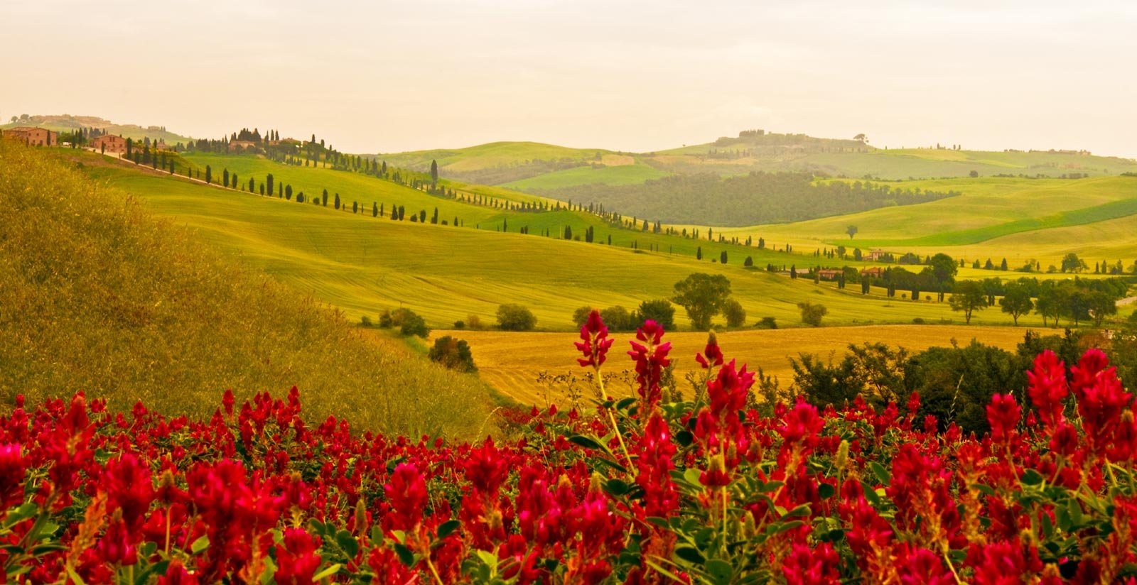 Tuscany and surroundings4 Tuscany and surroundings4