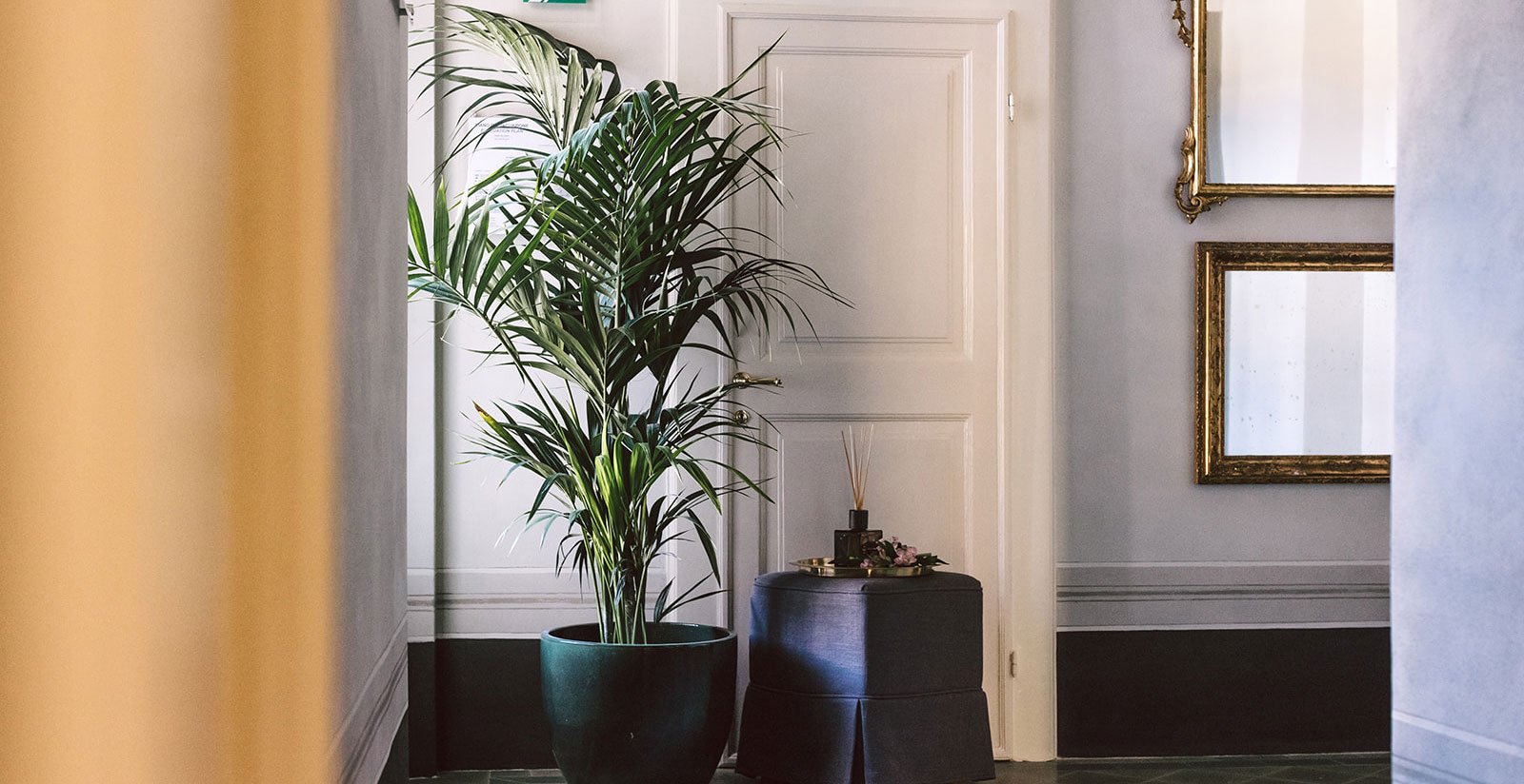 Palazzo Feroci - Guesthouse3