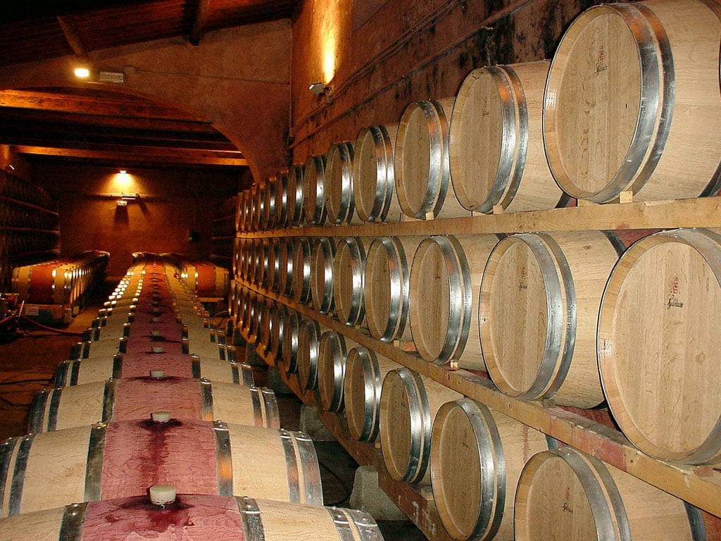 Our Lugana Wine8