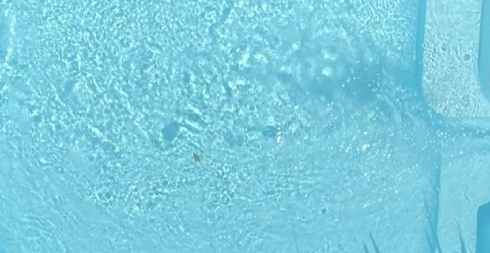 Mini piscina7