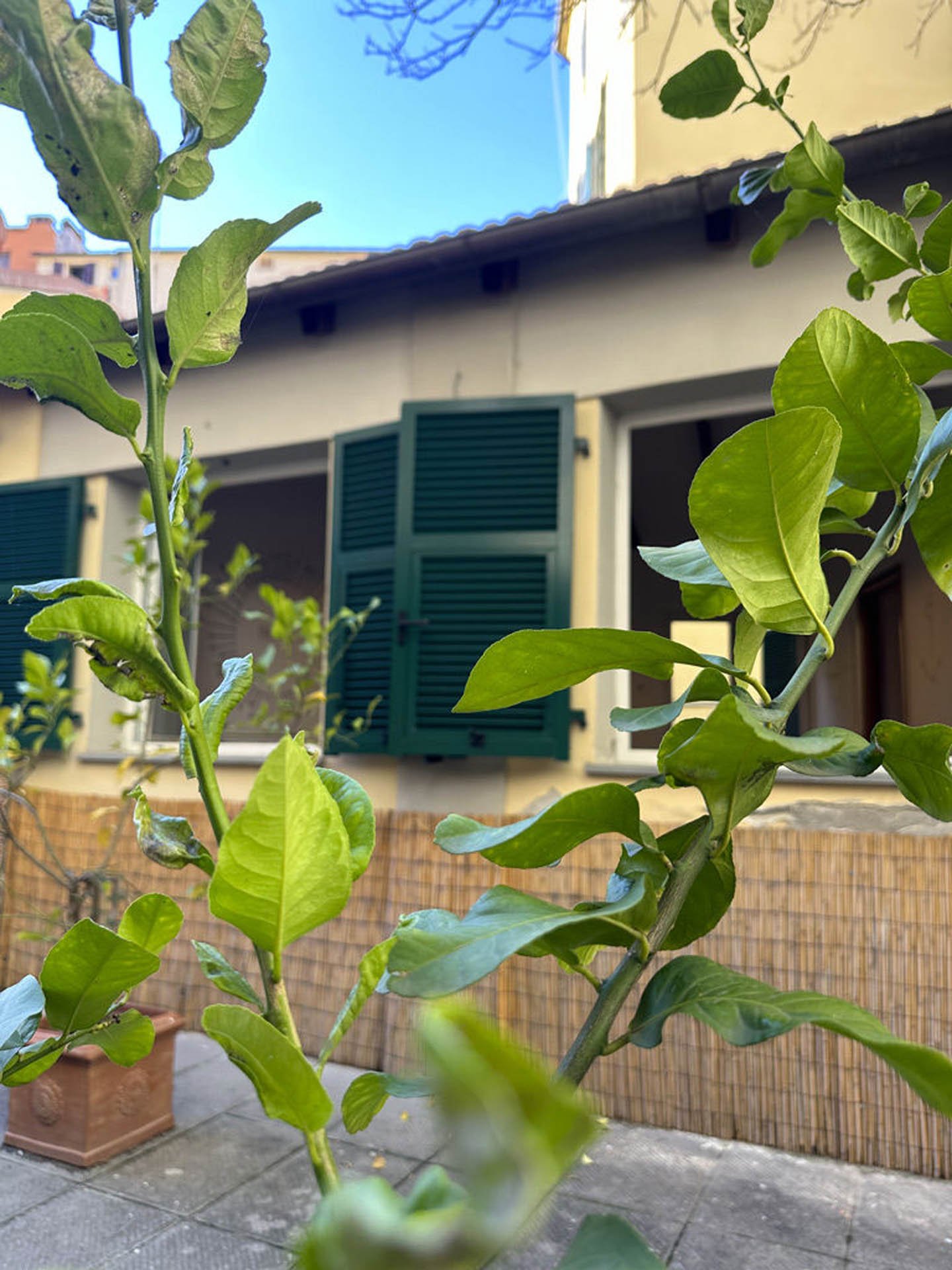 Casa con Giardino14 Casa con Giardino14
