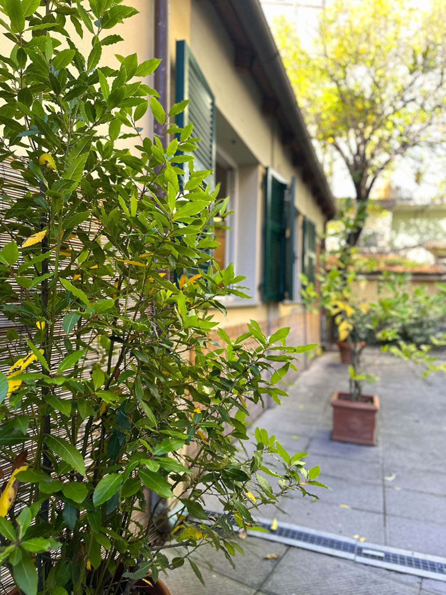 Casa con Giardino9 Casa con Giardino9