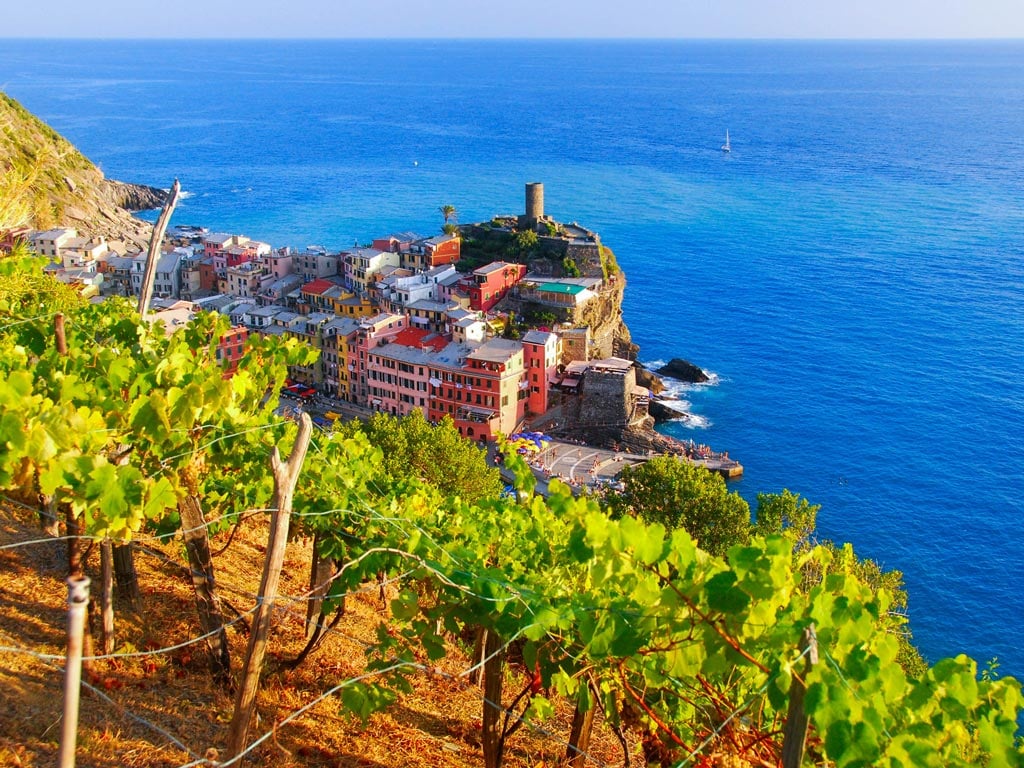 gallery/1024-7---VINO.jpg