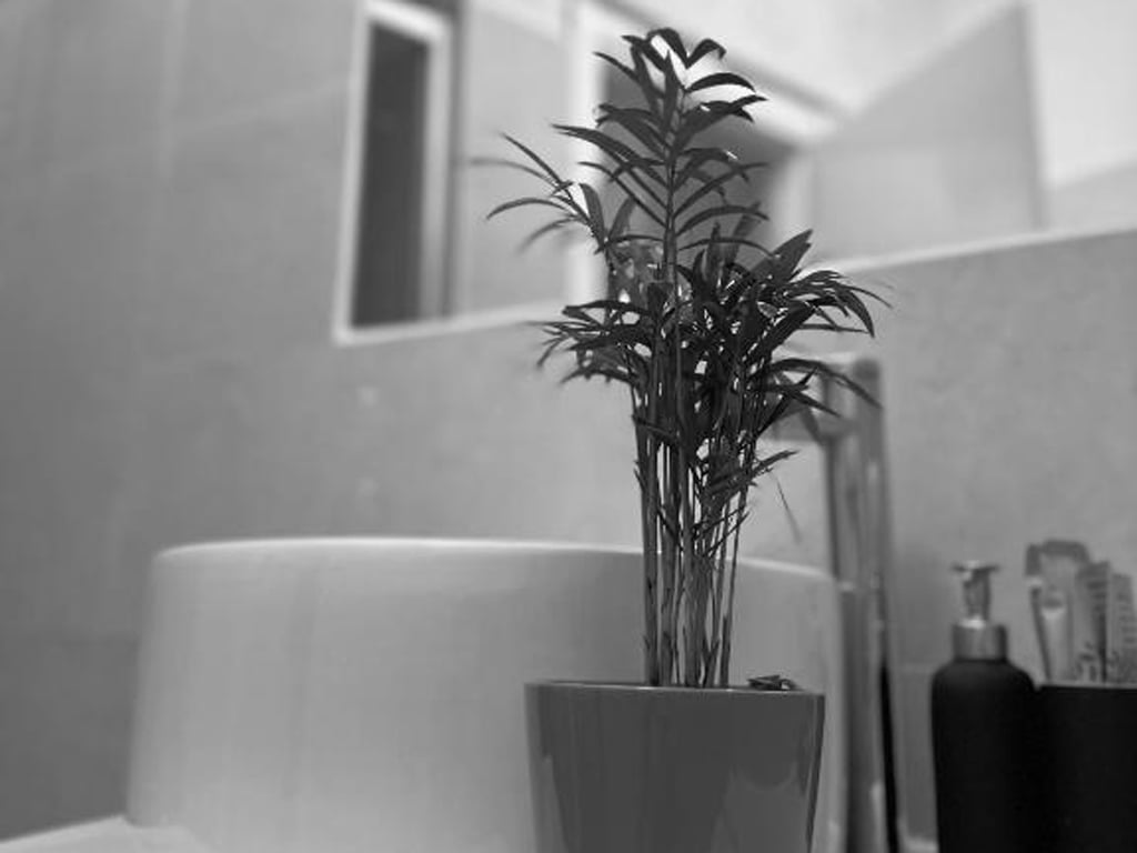 Chambres classiques7 Chambres classiques7