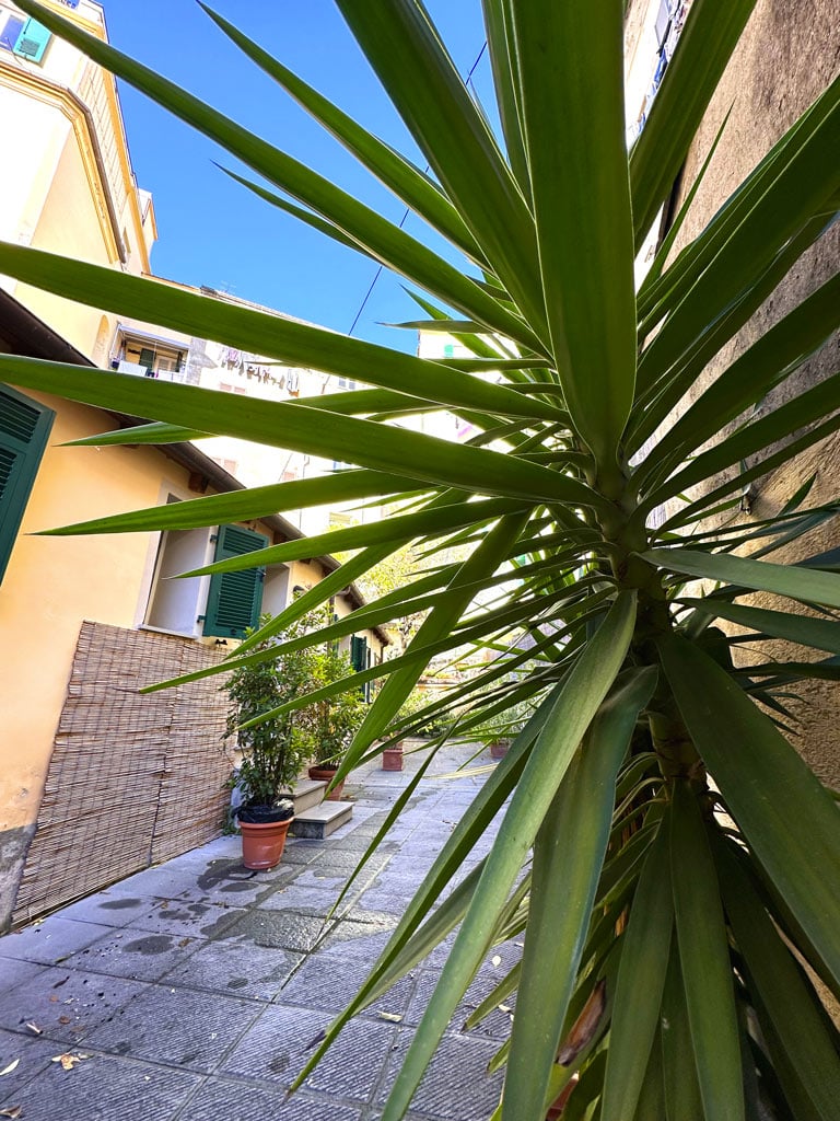 Suite Casa dell'Arancio13 Suite Casa dell'Arancio13