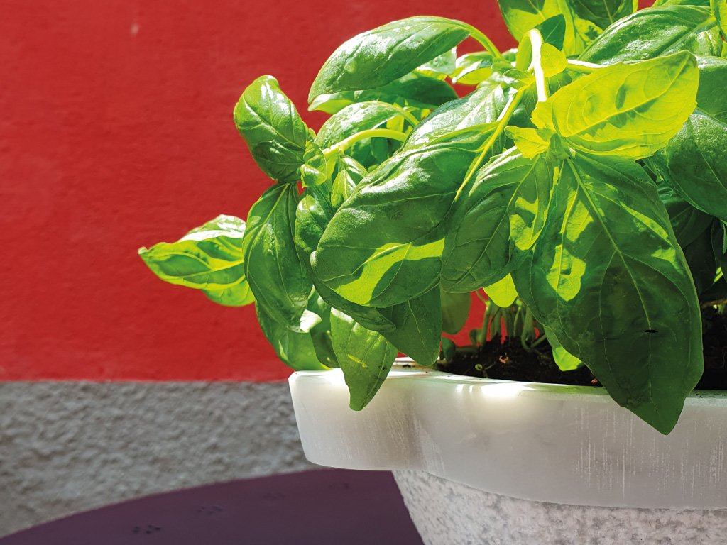 gallery/gallery-pesto-experience.jpg gallery/gallery-pesto-experience.jpg