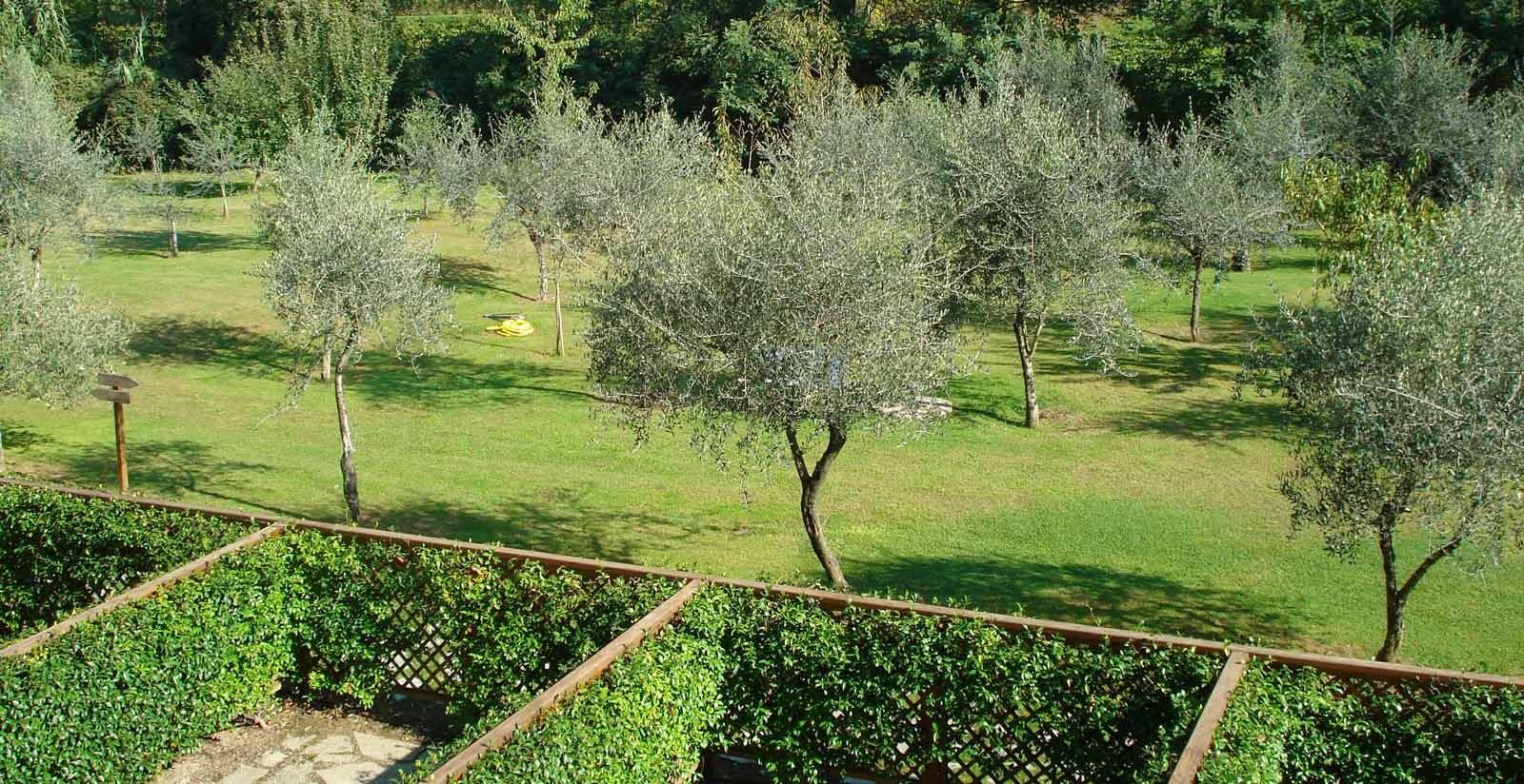 Santa Caterina Park Hotel - Benvenuti al Santa Caterina Park Hotel6