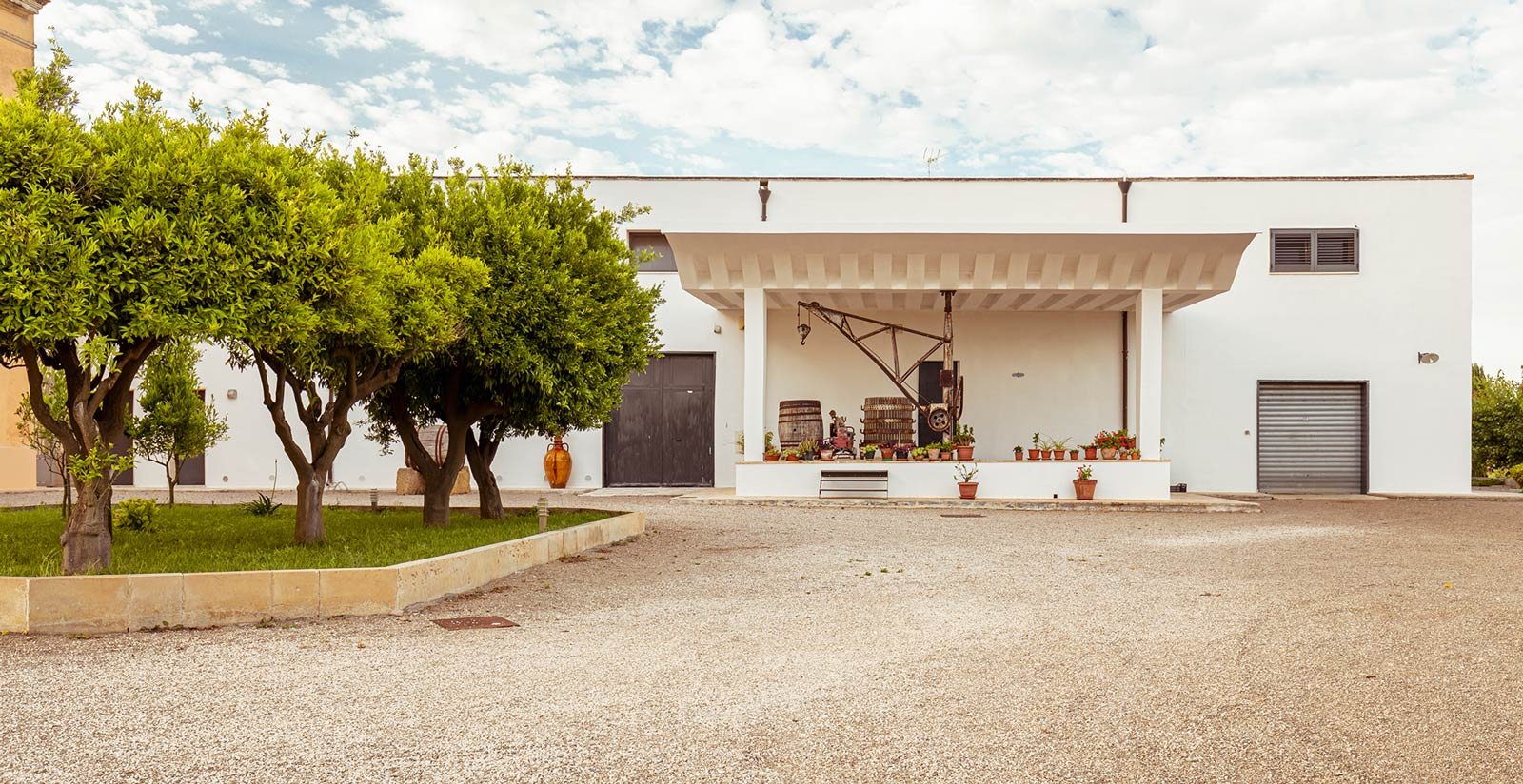 Azienda agricola6