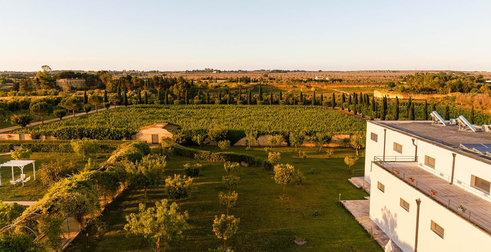 Azienda agricola7