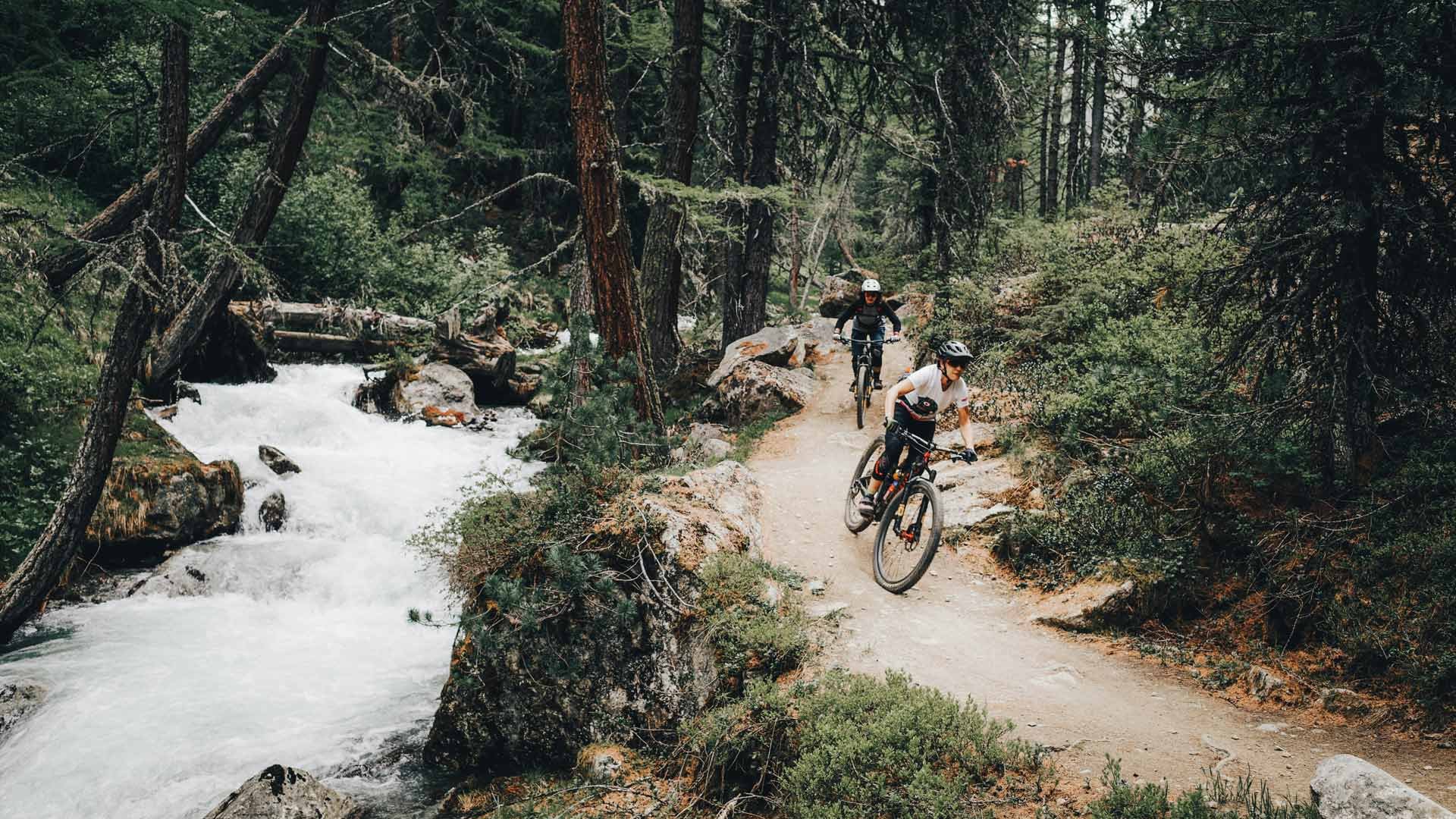 MTB Tour & Downhill2