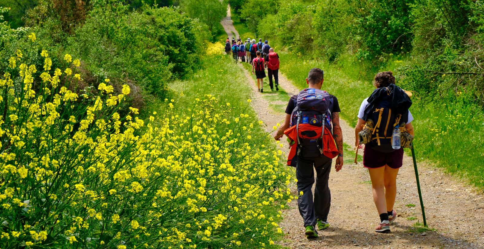 Nasce la Via Francigena del Sud1