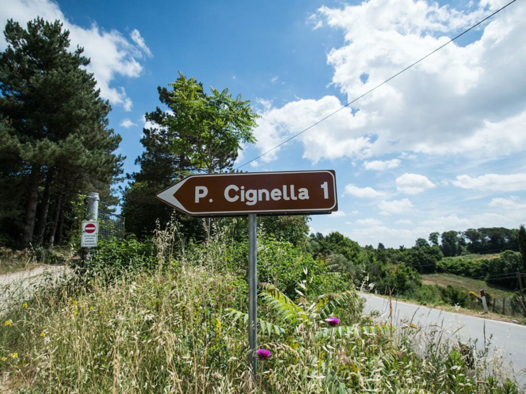 The story of Cignella14 The story of Cignella14