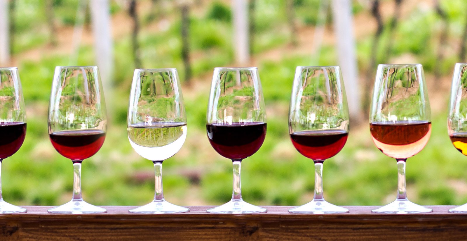 Wine Tasting2 Wine Tasting2