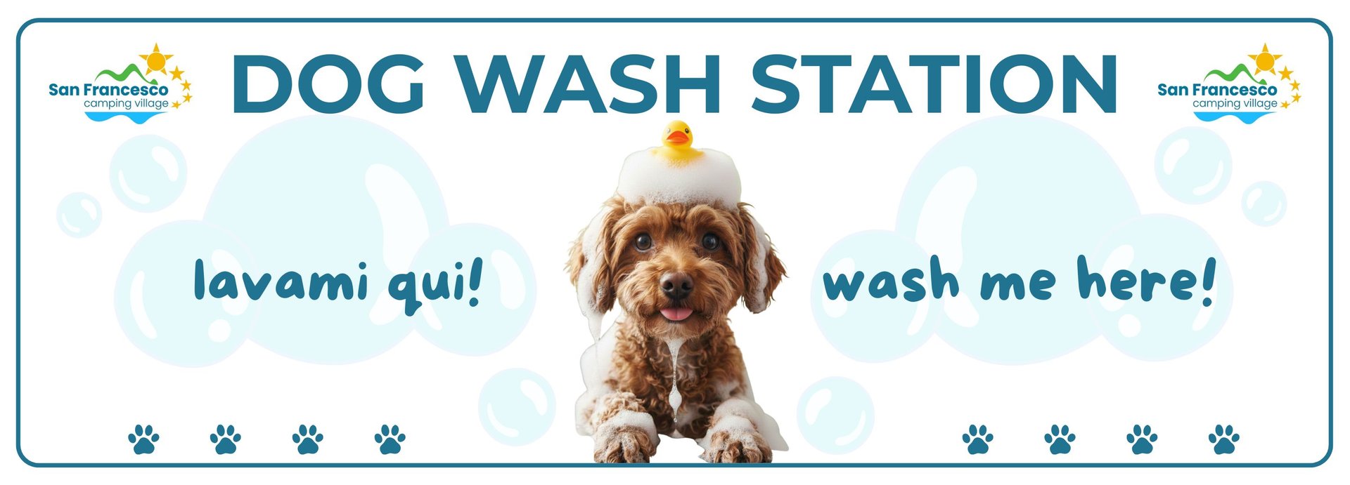NEW26 - Dog Wash Station!1 NEW26 - Dog Wash Station!1