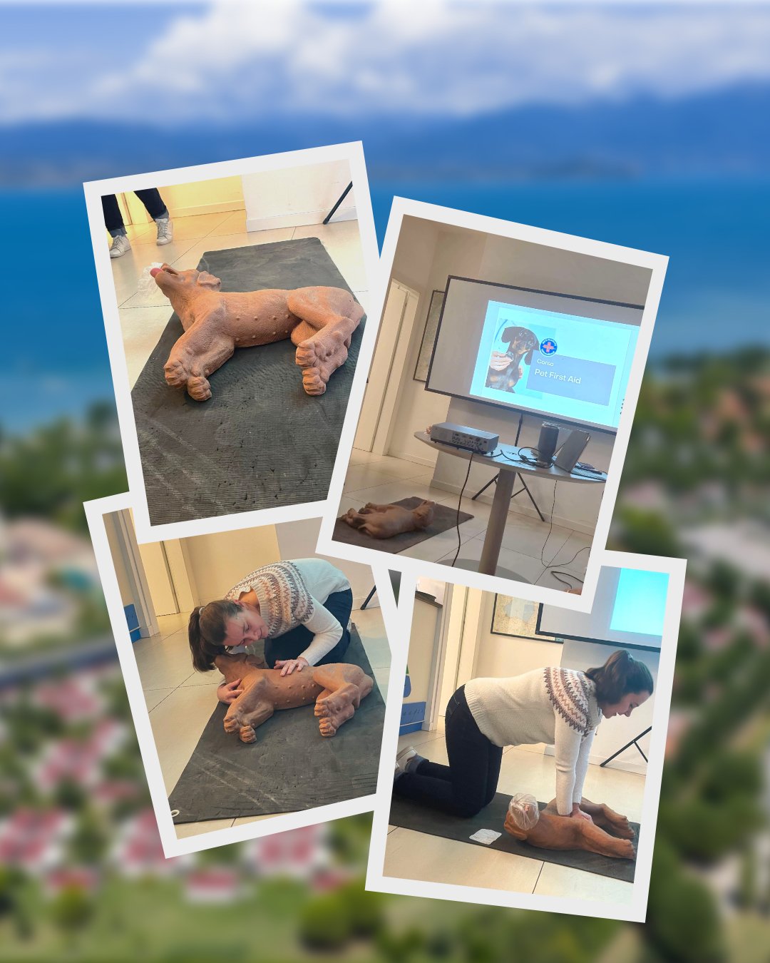 Dog First Aid Course1