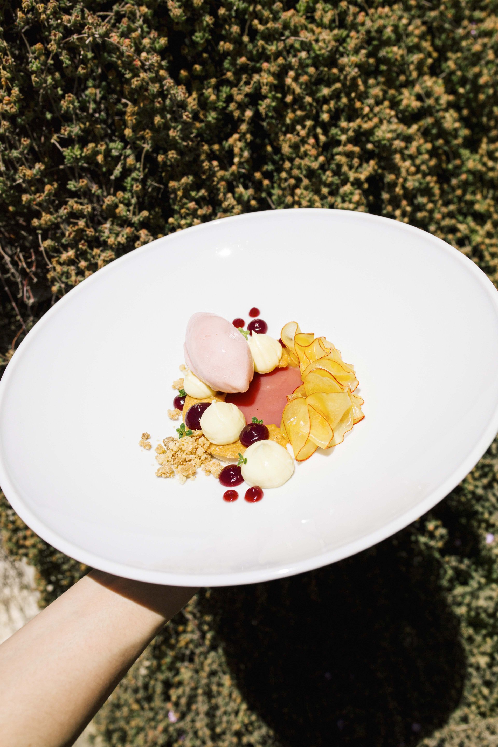 Zéphyr Restaurant14