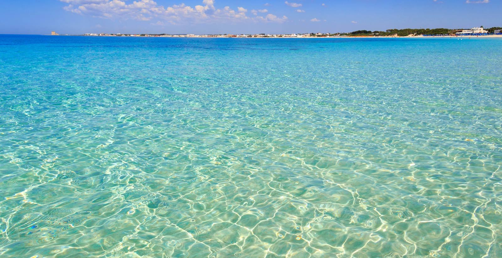 Salento8
