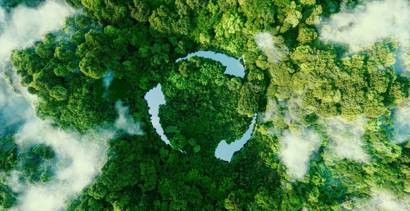 Sustainability6