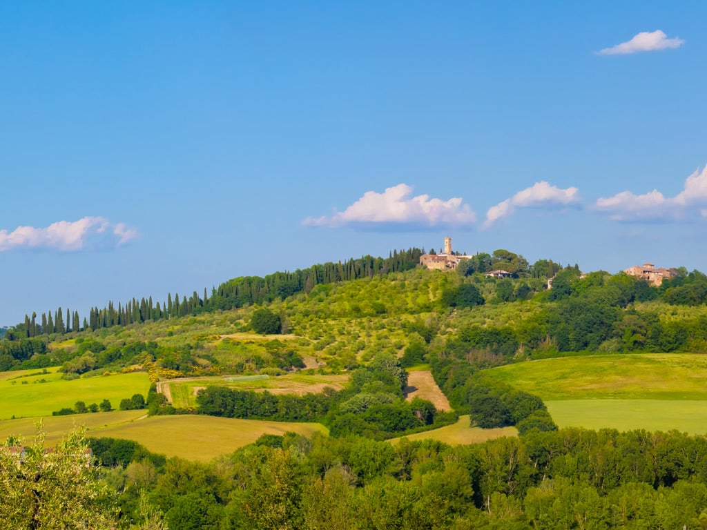 Visitare la Toscana15 Visitare la Toscana15