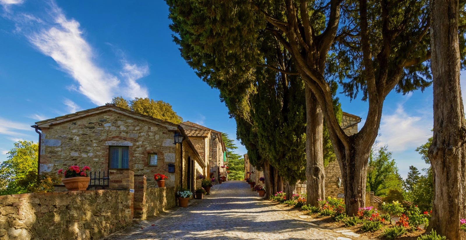 The Borgo6