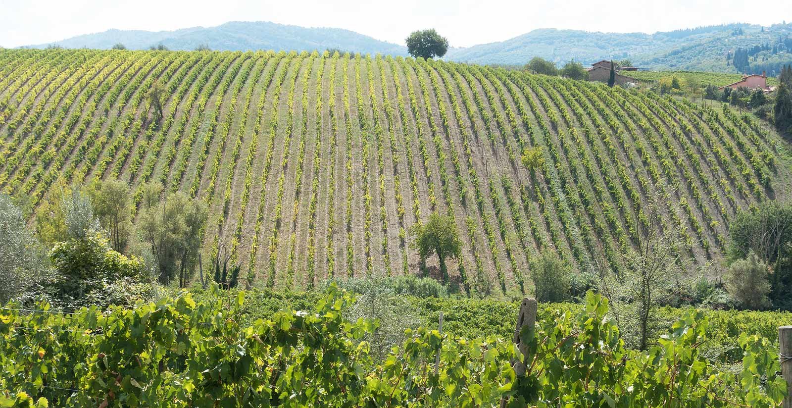 Visitare la Toscana9 Visitare la Toscana9