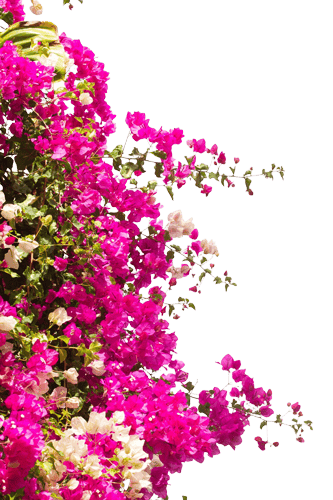 Positano Art Hotel79
