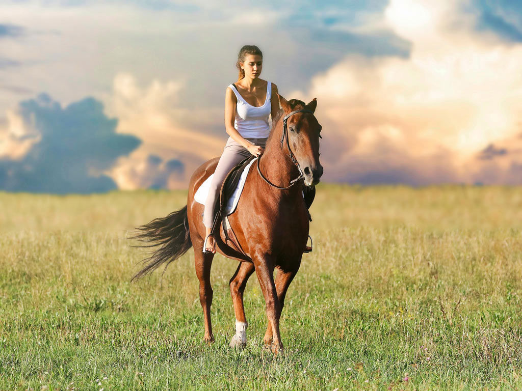 gallery/1024-cavallo1.jpg gallery/1024-cavallo1.jpg