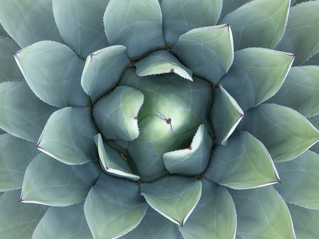 A wide range of services 23 A wide range of services 23