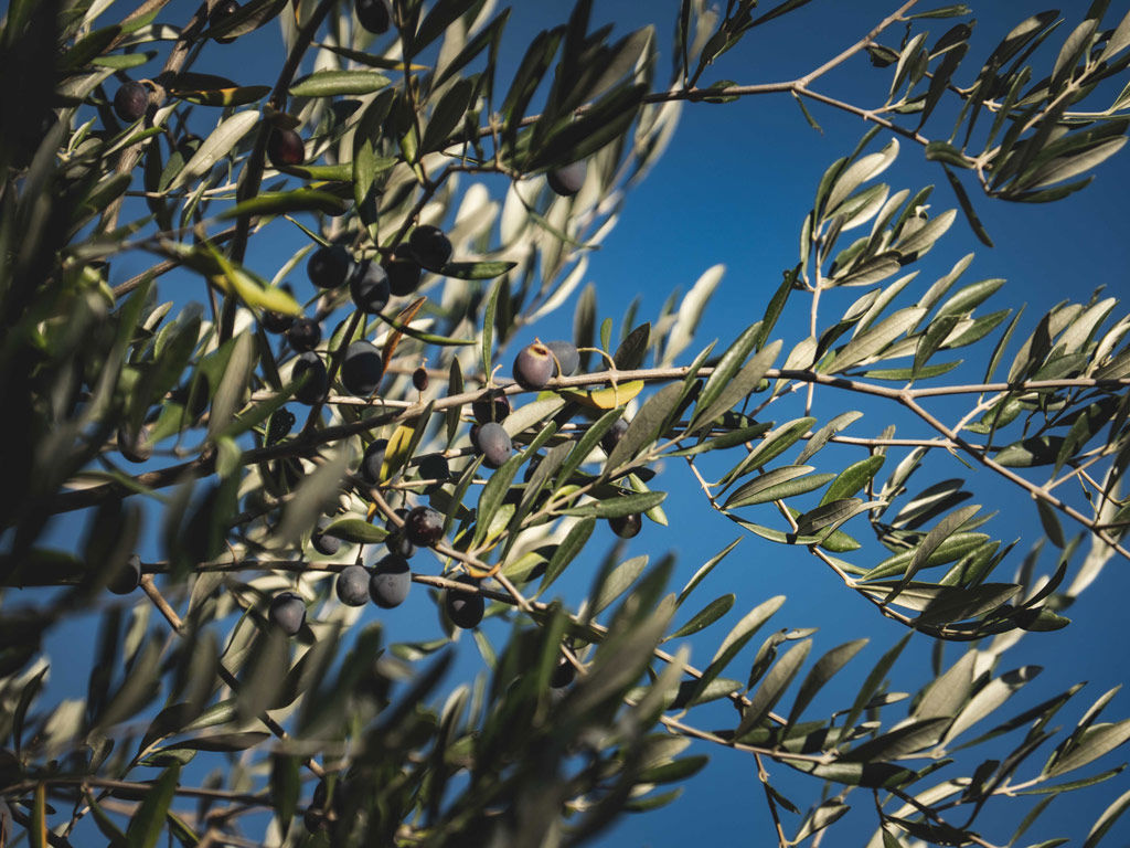 A wide range of services 26 A wide range of services 26