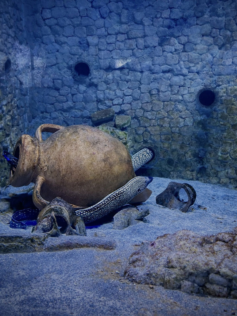 Le Mummarelle - I Musei 0