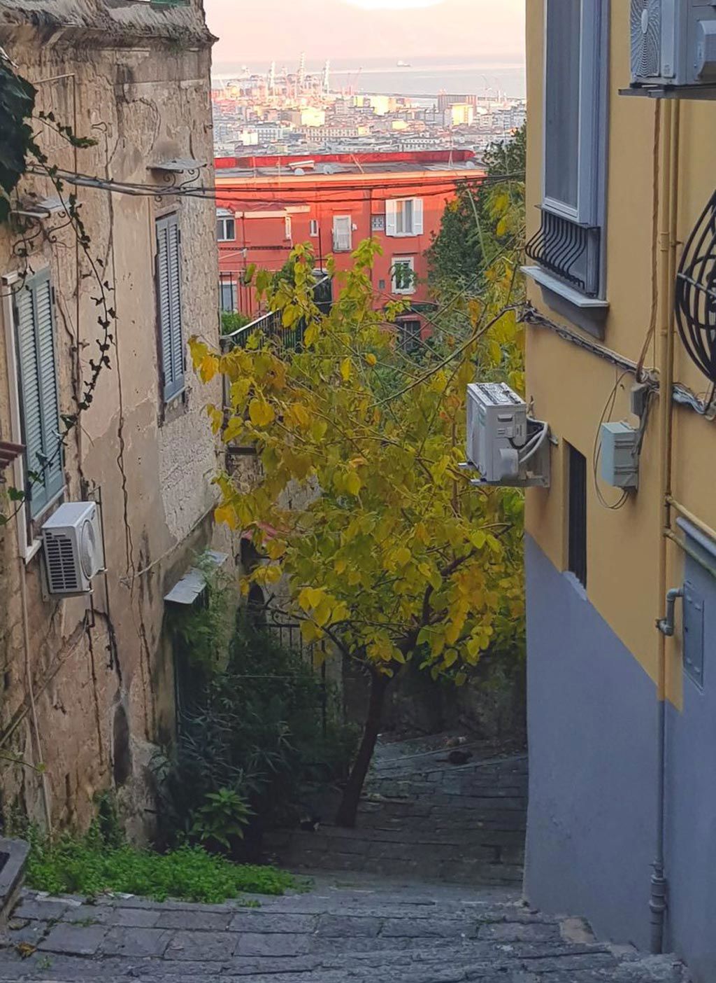 Le Mummarelle - Trekking urbano  2