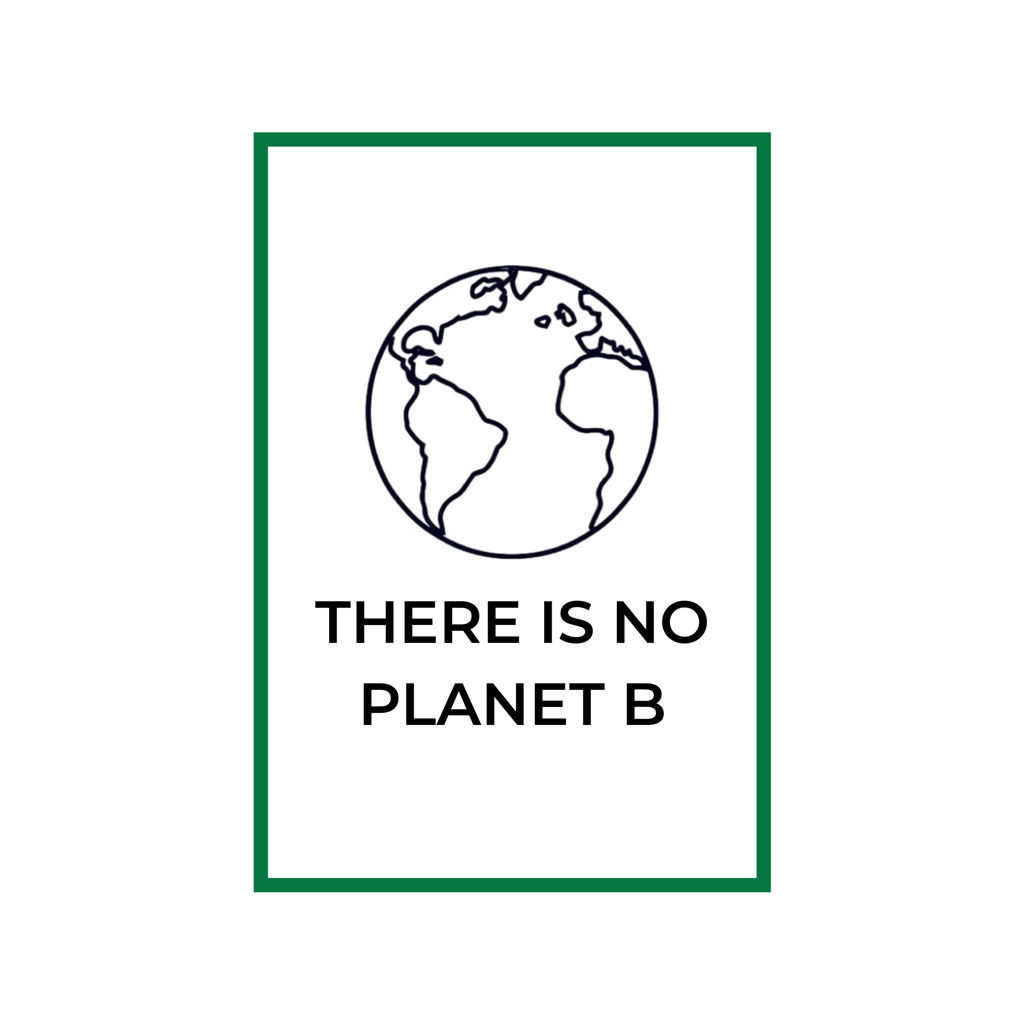 Le Mummarelle - Sustainability 0